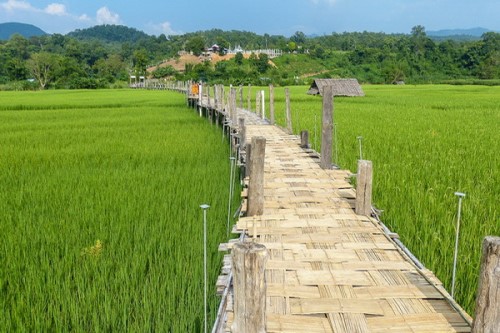 Su Tong Pae Bamboo Bridge