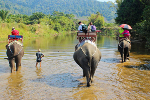 Phang Nga Elephant Trekking