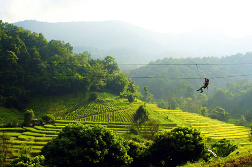 Flight of the Gibbon