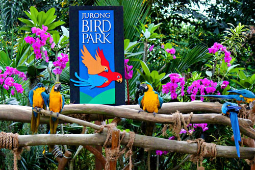 Singapore Jurong Bird Park