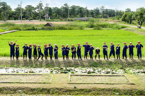 organic project sukhothai
