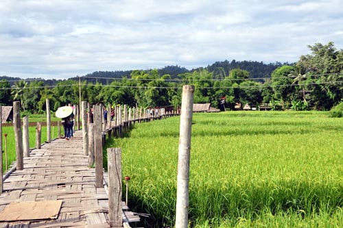 Su Tong Pae Bamboo Bridge
